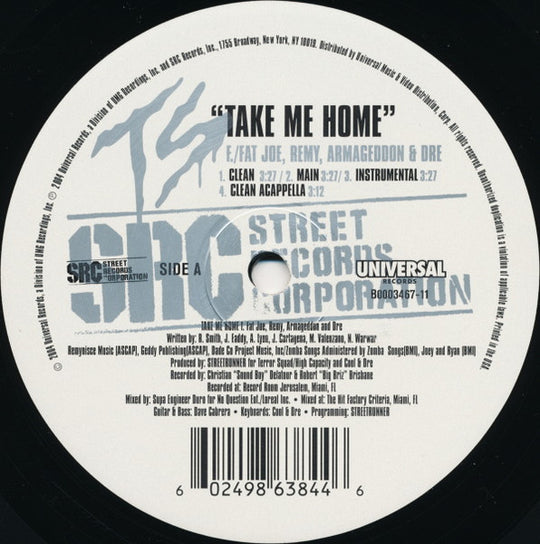 Terror Squad Featuring Fat Joe, Armageaddon, Cuban Link And Tony Sunshine "Take Me Home / Let Them Things Go" (12" Promo Single)-Vinyl Records-UnDigable Digs