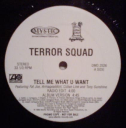 Terror Squad feat. Fat Joe & Armageaddon "Tell Me What U Want" (12" Single)-Vinyl Records-UnDigable Digs