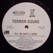 Terror Squad feat. Fat Joe & Armageaddon "Tell Me What U Want" (12" Single)-Vinyl Records-UnDigable Digs