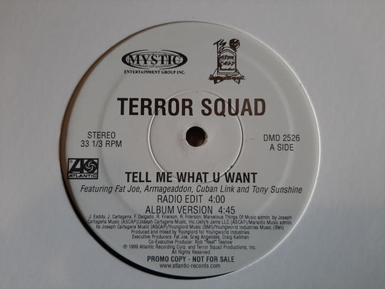 Terror Squad feat. Fat Joe & Armageaddon "Tell Me What U Want" (12" Single)-Vinyl Records-UnDigable Digs
