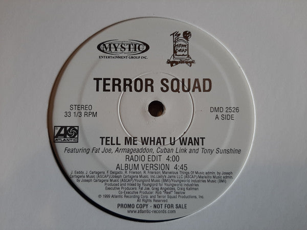 Terror Squad feat. Fat Joe & Armageaddon "Tell Me What U Want" (12" Single)-Vinyl Records-UnDigable Digs