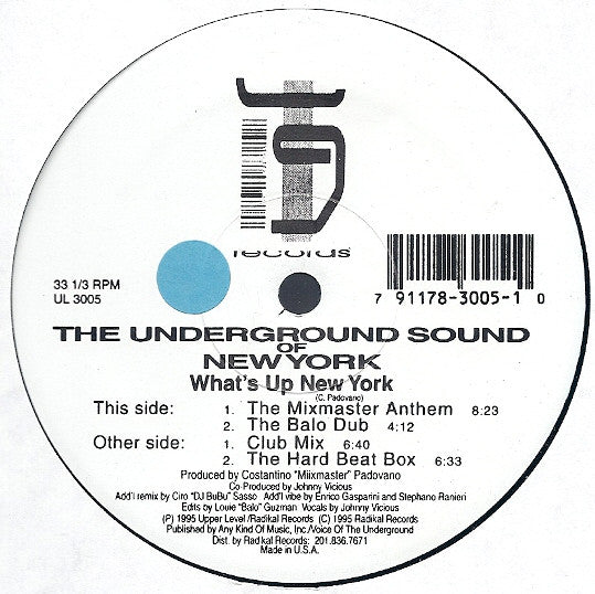 The Underground Sound Of New York "What's Up New York" (12" Single)-Vinyl Records-UnDigable Digs