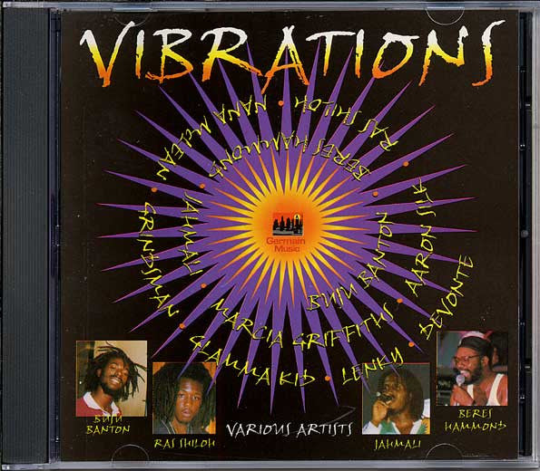 Vibrations-Cassette Tapes-UnDigable Digs