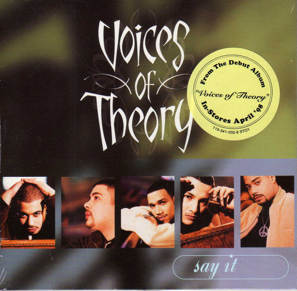 Voices Of Theory "Say It" (CD Single)-CDs-UnDigable Digs