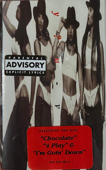 Y?N-Vee "Y?N-Vee"-Cassette Tapes-UnDigable Digs