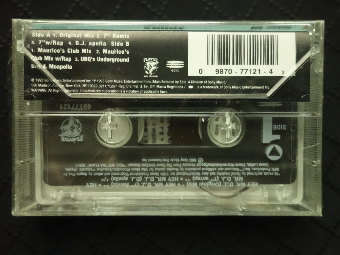 Zhané "Hey Mr. D.J." (Maxi-Single)-Cassette Tapes-UnDigable Digs