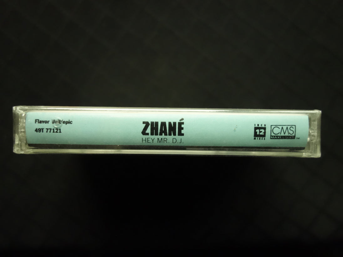 Zhané "Hey Mr. D.J." (Maxi-Single)-Cassette Tapes-UnDigable Digs